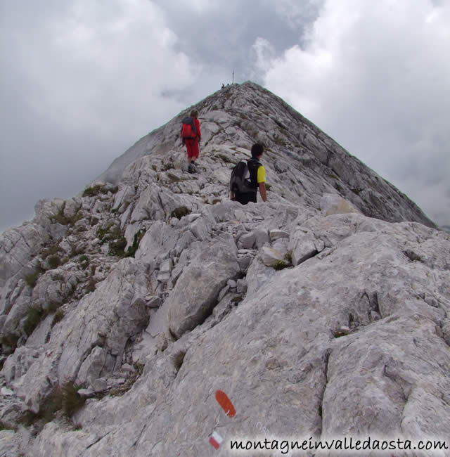 cima delle colme